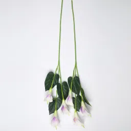 casacraft from pepperfry Purple Polyurethane Real Touch Callalily Artificial Flowers image 4