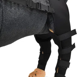 petworld Dog Hind Leg Arthritis Brace Knee Support image 4