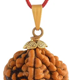 admier 2 Mukhi Nepali Rudraksha Pendant two Faced Rudraksha Natural & Certified Gold-plated Alloy Pendant image 2