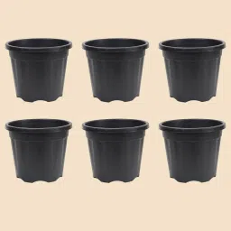 ugaoo Garden Black Plastic (Set of 6) Planters image 1