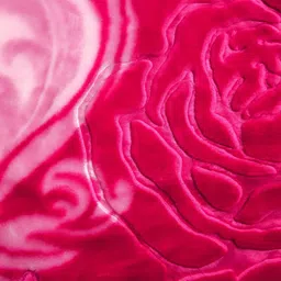 signature Floral Double Mink Blanket for Heavy Winter image 2