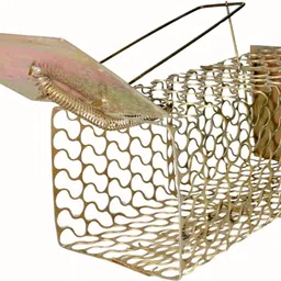 prime creation Rat, Mouse Trap/Catcher Iron Big Size - Ultimate Solution to All Rat Problems Live Trap-picture-19
