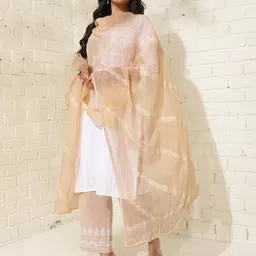 Fabindia Floral Embroidered Cotton Silk Dupatta with Chikankari-image-19