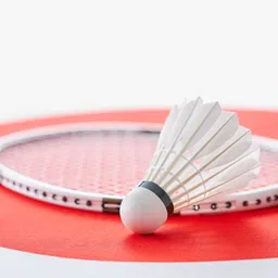 winex Feather Shuttlecock for Badminton Feather Shuttle - White image 2