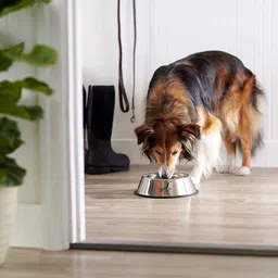 furever friends Stainless Steel Round Shape with Anti Skid Base (200 ml,Silver) Stainless Steel Pet Bowl image 3