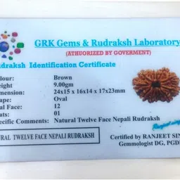 ceylonmine01 12 Mukhi Rudraksha Original Certified With Capping Silver Polish pendant Silver Wood Pendant image 4