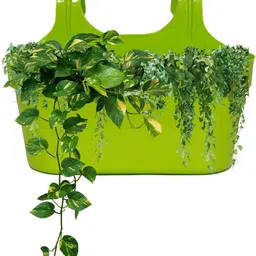 ubbiskart Double Hook Plastic Hanging Flower Pot for Home & Garden Plant Container Set image 3