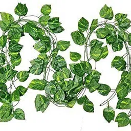 mameni 8ft Set of 6 Artificial Money Plant vine |Home|Office|Garden|Decoration Artificial Plant image 4