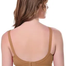black wings Pack of 3 Women Everyday Non Padded Bra image 2