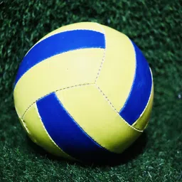 dss Limited Edition Hand Stitched Volleyball for Men & Women Volleyball - Size: 4 image 3