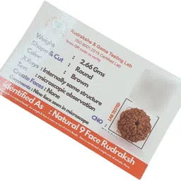 hindustan jewellery nine Mukhi Rudraksha / Original Java Indonesian 9 Mukhi Rudraksha Beads Wood Locket image 1