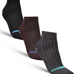 dollar Men Striped Ankle Length-picture-14