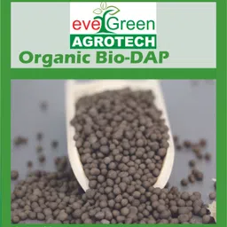 argo tech evergreen Organic Bio DAP Fertilizer help in Plant Growth Fertilizer-picture-16