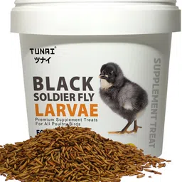 tunai Black Soldier Fly Larvae Supplement for Poultry Birds 0.69 kg Dry New Born Bird Food image 2