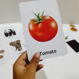 sandrone Flash Cards Combo Pack (Set of 3 boxes - 72 Flash cards) image 5