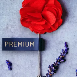 PELUCHE Unisex Red Ornamental Treat Brooch Lapel Pin-picture-15