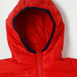Fame Forever by Lifestyle Boys Red Lightweight Padded Jacket image 5