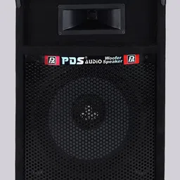 PDS AUDIO 12inch PA Passive Speaker Cabinet With Woofer 300 W Party Speaker image 3