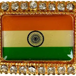 salvusappsolutions Indian Flag Badge Brooch-picture-11
