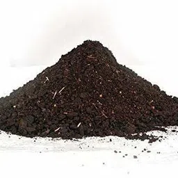 master green Neem Cake Powder for Plants |5KG | Neem Khali | Pure and Organic Fertilizer image 2