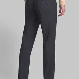 Raymond Men Grey Solid Regular-Fit Formal Trousers image 3