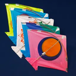 house of festivals Square Ponia Kite image 2