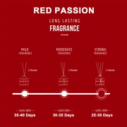 pan aromas Wonder Series Reed Diffuser - 50ml - Red Passion image 4