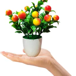cloudex Artificial Fruit Plant with Pot for Home, Office, Hotel and Events Decoration Artificial Fruit image 3