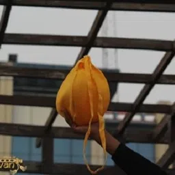 vrindavanstore.in Women Black Potli image 5