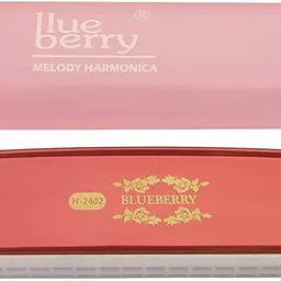 blueberry H-2402 24 Holes Key C Mouth Organ | 48 Tone | With Case For Professional, Beginners, Student Harmonica-picture-13