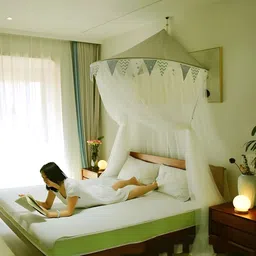 vvs Portable Lightweight French Girls Bedroom Single to Double bed Polyester Washable Adults Mosquito Net image 1