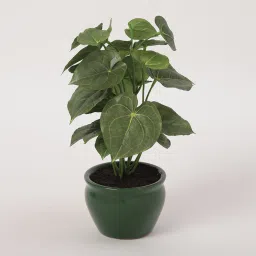 fourwalls Plastic Waze Green Bonsai Artifical With Pot Artificial Plant image 2