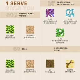 Ace Blend INTENSE, 30G A-Grade Vegan Plant Protein Powder for Men & Women, Sport Use, Complete BCAA Profile, Lean Muscle Growth & Recovery, Rapid Absorption, Gut Friendly | Mocha image 3