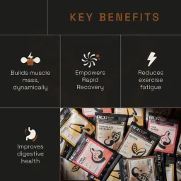 Ace Blend INTENSE, 30G A-Grade Vegan Plant Protein Powder for Men & Women, Sport Use, Complete BCAA Profile, Lean Muscle Growth & Recovery, Rapid Absorption, Gut Friendly | Mocha image 4