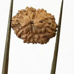 beautum Wood Pendant-picture-28