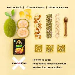 Eatopia Fruit Minis Dry Fruits Protein Bars with Jackfruit Almonds, Oats & Honey, Nuts & Seeds | Sugar Free Healthy Breakfast Snacks | Natural Energy Bar No Artificial Chemical image 3