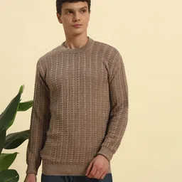 hermiston Men Striped Round Neck Brown Sweater-picture-10