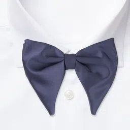 The Tie Hub Men Satin Bow Tie image 4
