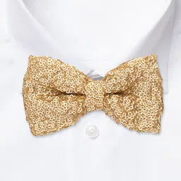 The Tie Hub Woven Design Bow Tie image 5