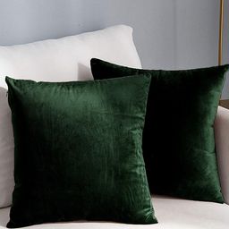 AEROHAVEN Reversible Green 2 Pieces Velvet Square Cushion Covers-picture-46