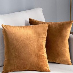 AEROHAVEN Tan 2 Pcs Reversible Square Cushion Covers-picture-49