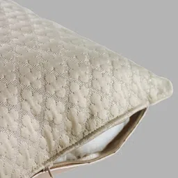 GM Set Of 2 Beige Self Design Velvet Square Cushion Covers image 4