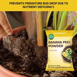 trustbasket Banana Peel Powder - Pack of 1 Fertilizer image 5