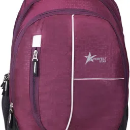 Large 35 L Laptop Backpack royal blue_STYLE_002-image-25