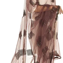 youthquake Net Embroidered Brown Women Dupatta image 3
