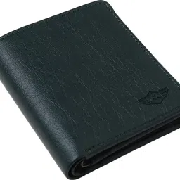 metronaut Men Casual, Evening/Party, Formal, Travel, Trendy Green Artificial Leather Wallet image 4