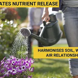 master green Neem Cake Powder for Plants |5KG | Neem Khali | Pure and Organic Fertilizer image 4