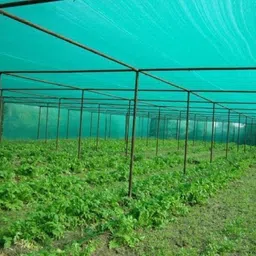 yuvagreen Evergreen ! Agro Shade Net ! 75% Shade ! Greenhouse UV Stabilized Net ! (3m x 10m) Garden Tool Kit-picture-16