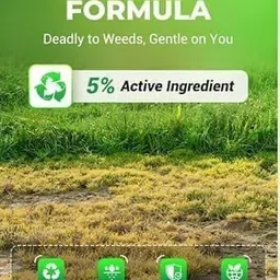 flixy Butternut Plant image 2