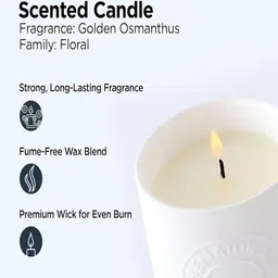 Kuber Industries White Scented Textured Jar Candle image 2